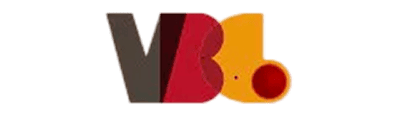 VBG International Holdings Limited